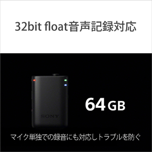 SONY ワイヤレスマイクロホン ECM-W5-イメージ5