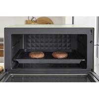 アラジン グラファイトオーブンレンジ AEM-G14A(G) 日本エー・アイ・シー Aladdin グラファイトオーブンレンジ AEM