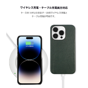 ABBI SIGNATURE iPhone 14 Pro用VINTAGE イタリアンレザーバックカバー ブラック ABS24074I14PBK-イメージ13