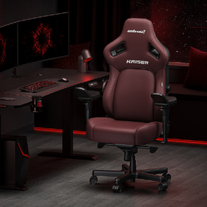 Andaseat Andaseat KAISER4 クラシックマロン AD12YDDC-L-20-A-PV/C-イメージ2