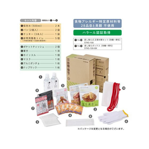 キングジム 差し替え式 災害対策セット 待機～帰宅 FCD004G-STKS-100-イメージ10