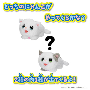 タカラトミー マジカルDIY にゃんことおうち ﾏｼﾞｶﾙDIYﾆﾔﾝｺﾄｵｳﾁ-イメージ5