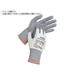 uvex UVEX/フィノミック フォーム L 6005069 FC624WC-8199300-イメージ1