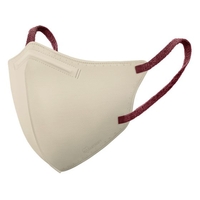 アイリスオーヤマ IRIS/200975 デイリーフィットマスク フィルタープラス ふつう 20枚入 FCB522E-5925488