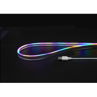 ヤザワ LEDネオンチューブライト(2m) レインボー NTL012RB
