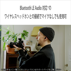 SONY ワイヤレスレシーバー ECM-W5R-イメージ4