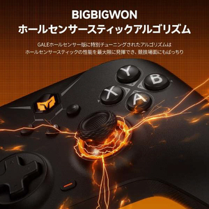 BIGBIGWON 任天堂Switch & Windows10/11&iOS、Android対応 無線/有線ゲームコントローラー グレー GALEHALLCOMBOGRAY-イメージ6