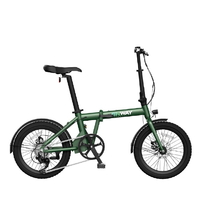 ERWAY ERWAY-A01-70-GR 折りたたみ電動アシスト自転車ERWAY A01