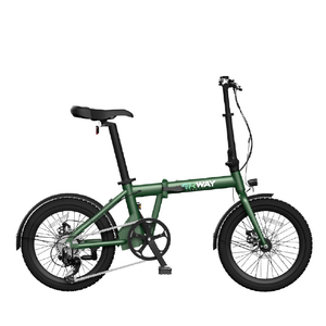 ERWAY ERWAY-A01-70-GR 折りたたみ電動アシスト自転車ERWAY A01