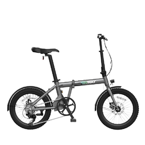 ERWAY ERWAY-A01-70-GY 折りたたみ電動アシスト自転車ERWAY A01 グレー