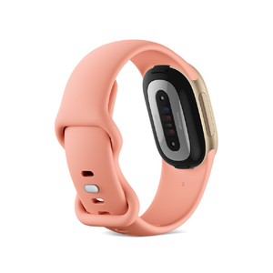 Fitbit Google Fitbit Edge アクティブバンド Lサイズ Canyon GA12426-WW-イメージ3
