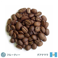 コーヒー豆 ガテマラSHB 200g ｶﾞﾃﾏﾗSHB100G-X2