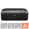キヤノン A2ノビ対応高画質大判プリンター PRO-1100