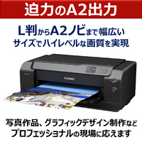 キヤノン PRO-1100 A2ノビ対応高画質大判プリンター |エディオン公式通販