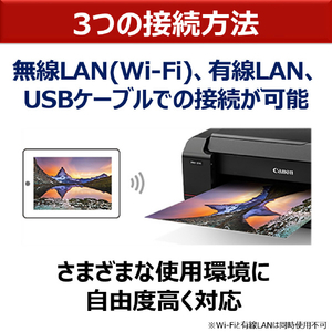 キヤノン A2ノビ対応高画質大判プリンター PRO-1100-イメージ11