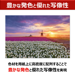 キヤノン A2ノビ対応高画質大判プリンター PRO-1100-イメージ7