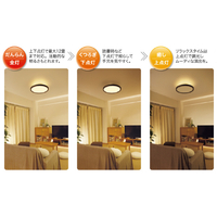 ダイコウデンキ DXL-1212MC ～12畳用 LEDシーリングライト