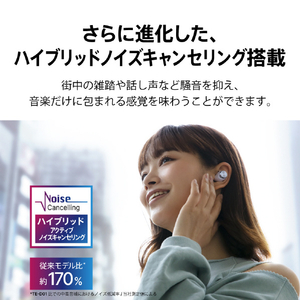AVIOT 完全ワイヤレスイヤホン アイスグリーン TE-D01V-GR-イメージ11