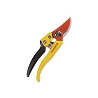 近正 チカマサ　ウルトラロッソ7イエロー PS-7Y