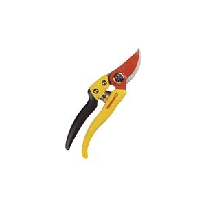 近正 チカマサ　ウルトラロッソ7イエロー PS-7Y-イメージ1