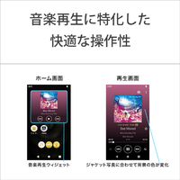 SONY WALKMAN NW-A307 64GB 箱付属品付き WW9100 Amazon.co.jp: ソニー(SONY) ウォークマン 64GB A300シリーズ NW