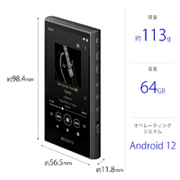 Amazon.co.jp: Sony Walkman NW-A307 LC, 64 GB, A300 Series, High Resolution  Wireless, Streaming Support, LDAC, aptX (TM), HD Codec, MP3 Player, 