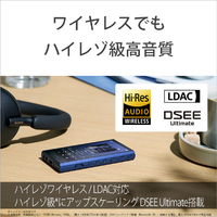 SONY NW-A307 デジタルオーディオプレーヤージャンク SONY NW-A307 デジタルオーディオプレーヤージャンク SONY NW-A307 L