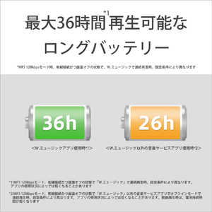 SONY デジタルオーディオ(64GB) ウォークマン ブラック NW-A307 B-イメージ6