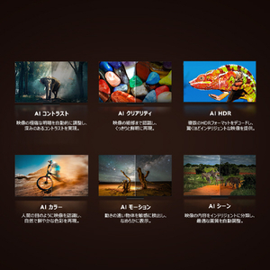 TCL 55V型4Kチューナー内蔵4K対応液晶テレビ C7Kシリーズ 55C7K-イメージ16