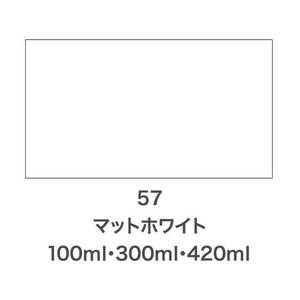 アサヒペン クリエイティブカラースプレー 300ml 57マットホワイト FC116NS-イメージ2