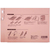 Forestway 背幅伸縮ファイル A4タテ ピンク 50冊 FCF554S-FRW-5804AK-イメージ7
