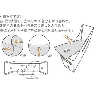 リヒトラブ Roomy ボックスファイル A4 ハイタイプ ベージュ FC230MR-F291-16-イメージ10