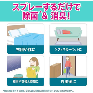 Ｐ＆Ｇ ファブリーズ 除菌プラス 詰替 10L FCE267T-イメージ5