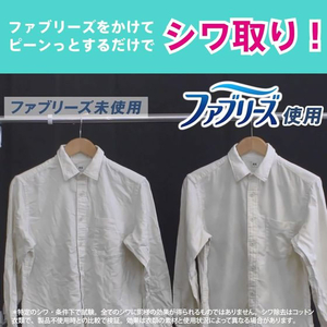 Ｐ＆Ｇ ファブリーズ 除菌プラス 詰替 10L FCE267T-イメージ6