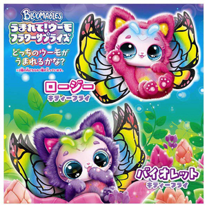 タカラトミー うまれて!ウーモ フラワーサプライズ ガールズペット キティーフライ ｳﾏﾚﾃｳ-ﾓﾌﾗﾜ-ｻﾌﾟﾗｲｽﾞｷﾃｲ-ﾌﾗｲ-イメージ13