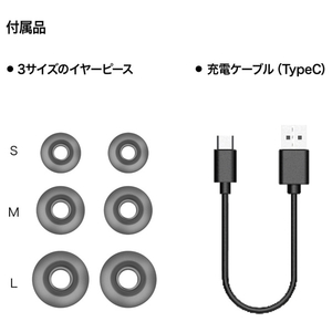 AVIOT 完全ワイヤレスイヤホン ネイビー TE-D01V-NV-イメージ9
