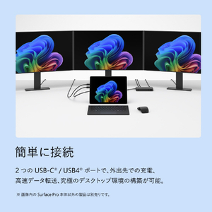 マイクロソフト Surface Pro(第 12 世代)13インチ Snapdragon  X2 Plus/24/512 ブラック EP2-73330-イメージ14