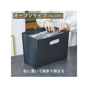 キングジム サクッと整理ドキュメントファイル オープン A4 ベージュ FCD067G-2291-BE-イメージ6