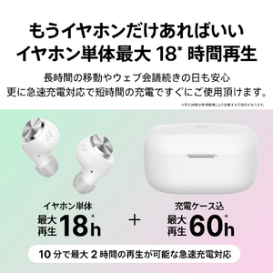 AVIOT トゥルーワイヤレスイヤホン ブラック TE-D01V-BK-イメージ12
