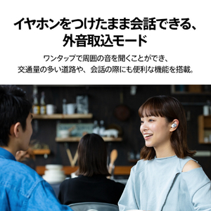 AVIOT トゥルーワイヤレスイヤホン ブラック TE-D01V-BK-イメージ15