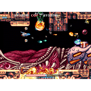 PLAION パルスター 1180982-イメージ2