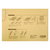 Forestway 背幅伸縮ファイル A4タテ 黄 50冊 FCF557S-FRW-5805AK-イメージ7