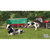 GIANTS Software Farming Simulator ： Signature Edition【Switch 2】 POTPAA2MA-イメージ2