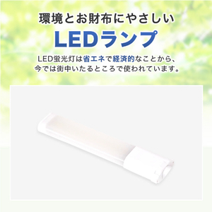 エコデバイス LED FPLランプ 13ワット相当(昼光色) FPL13LED-N-イメージ3
