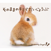 デラ そのままのキミでだいじょうぶ 【CD】 ｿﾉﾏﾏﾉｷﾐﾃﾞﾀﾞｲDLOR606