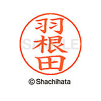 シヤチハタ ネームペン用ネーム シルバー 既製 羽根 FC47417-X-GPS-1646
