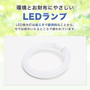エコデバイス 30形+40形 丸形蛍光灯 昼光色 2本入り ホワイト EFCL30･40LED-ES/28N-イメージ2