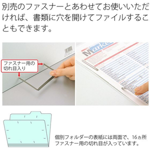 プラス 個別フォルダー A4-E 5色アソート 10枚 FCF499T-FL-061IF/87-120-イメージ3