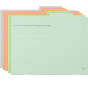 プラス 個別フォルダー A4-E 5色アソート 10枚 FCF499T-FL-061IF/87-120-イメージ6