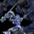 千値練 RIOBOT ソウルゲイン ～スーパーロボット大戦AカラーVer．～ RIOBOTｿｳﾙｹﾞｲﾝｽﾊﾟﾛﾎﾞAｶﾗ--イメージ8